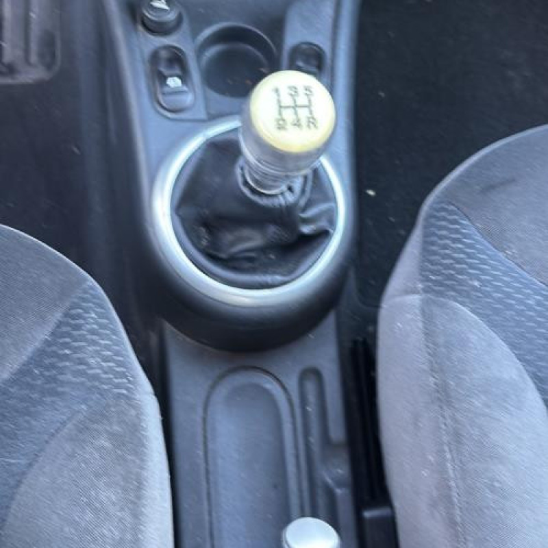 Custode arriere gauche CITROEN C2 Photo n°18