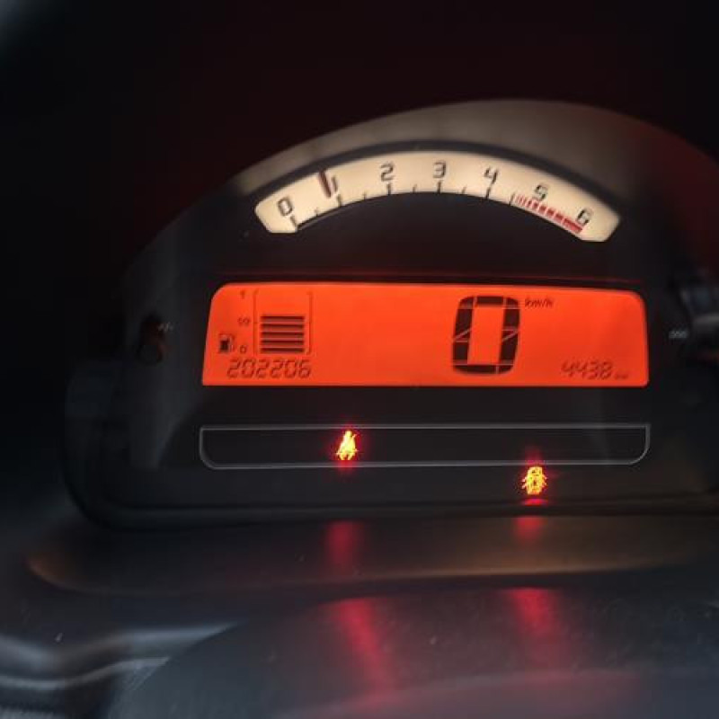 Custode arriere gauche CITROEN C2 Photo n°13