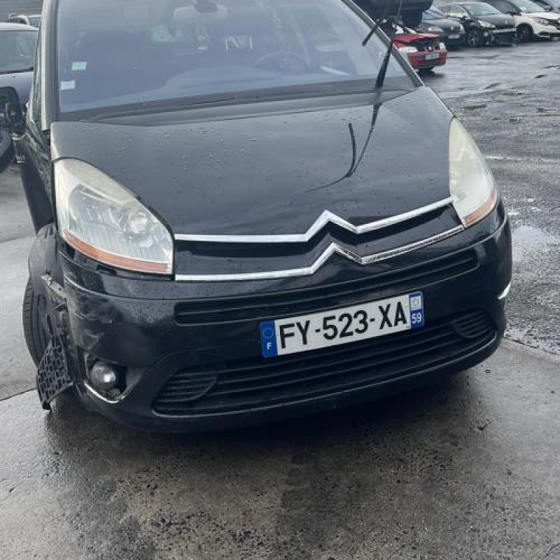 Custode arriere gauche CITROEN C4 GRAND PICASSO 1 Photo n°12