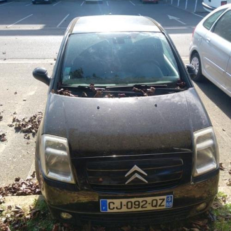 Custode arriere gauche CITROEN C2 Photo n°10