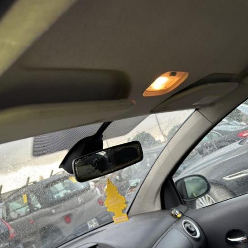 Custode arriere gauche CITROEN C2 Photo n°11