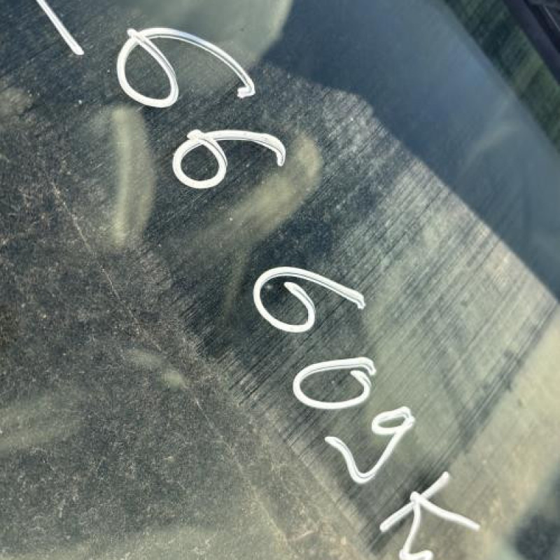 Calandre CITROEN C3 1 Photo n°17