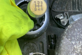 Custode arriere gauche CITROEN C2