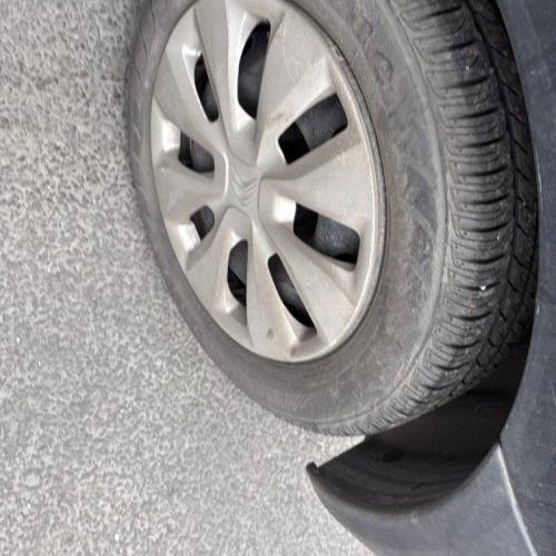 Custode arriere gauche CITROEN C2 Photo n°18