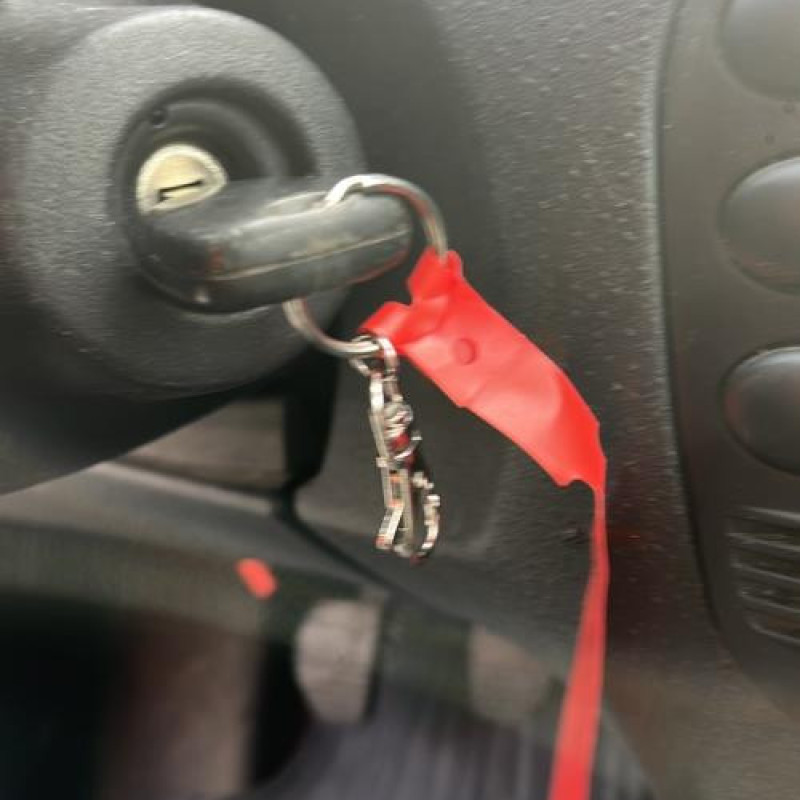 Custode arriere droit CITROEN C2 Photo n°11