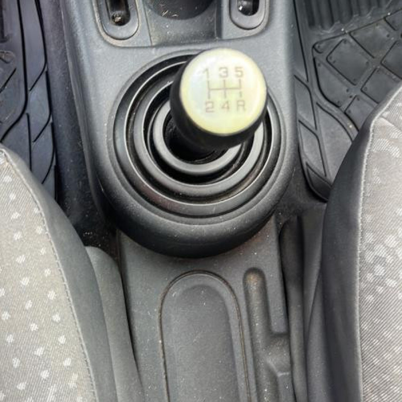 Custode arriere gauche CITROEN C2 Photo n°9