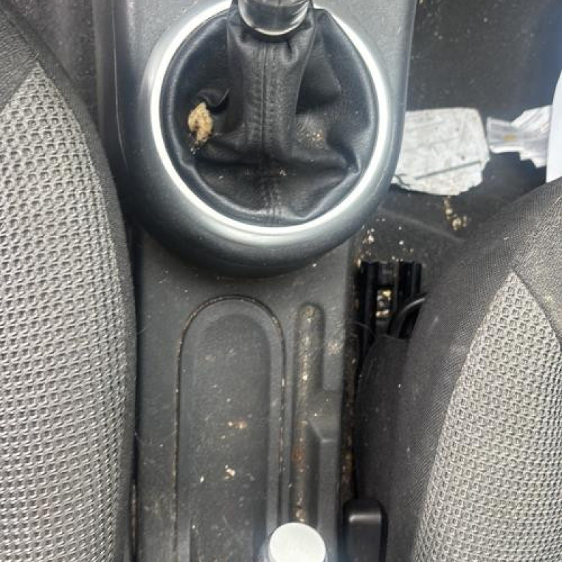 Custode arriere droit CITROEN C2 Photo n°15