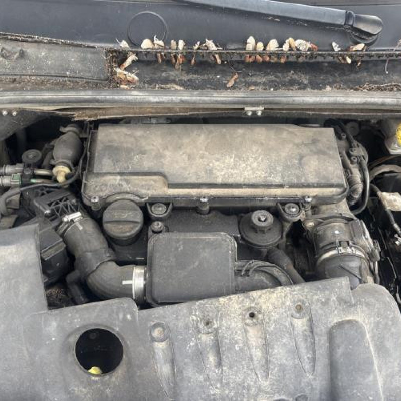 Custode arriere gauche CITROEN C2 Photo n°19