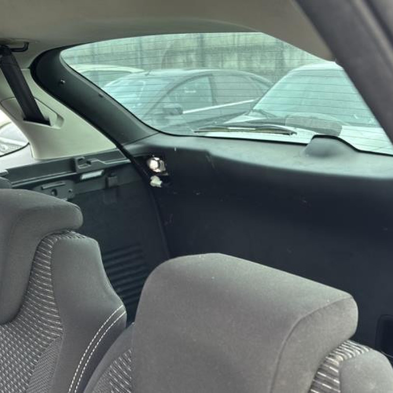 Custode arriere gauche CITROEN C4 PICASSO 1 Photo n°12