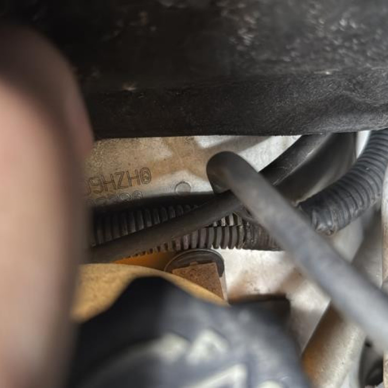 Feu arriere principal gauche (feux) CITROEN C4 PICASSO 1 Photo n°10