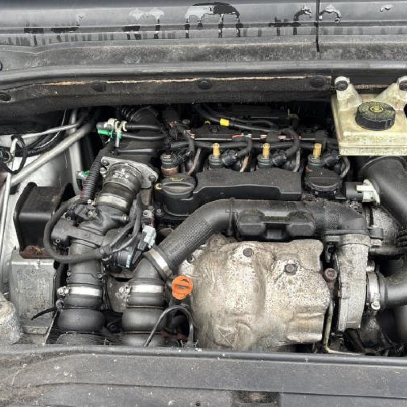 Custode arriere droit CITROEN C4 PICASSO 1 Photo n°20