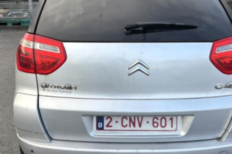 Custode arriere gauche CITROEN C4 PICASSO 1