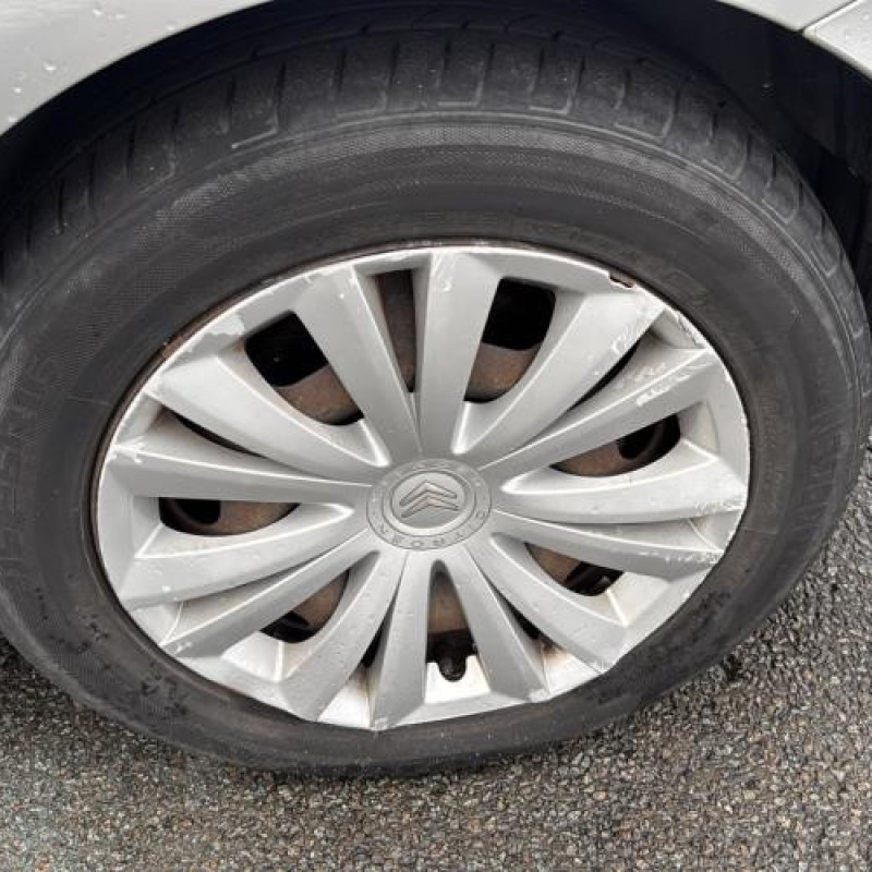 Custode arriere gauche CITROEN C4 PICASSO 1 Photo n°19