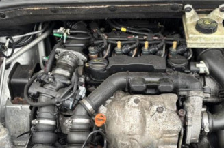 Custode arriere gauche CITROEN C4 PICASSO 1