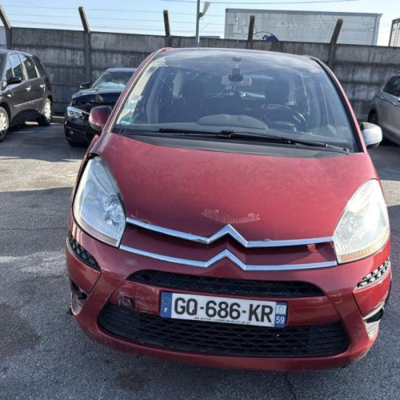 Custode arriere gauche CITROEN C4 PICASSO 1 Photo n°8