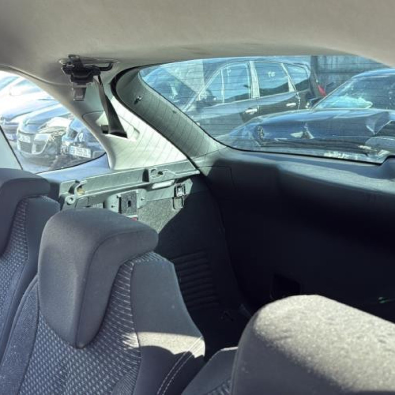 Custode arriere gauche CITROEN C4 PICASSO 1 Photo n°12