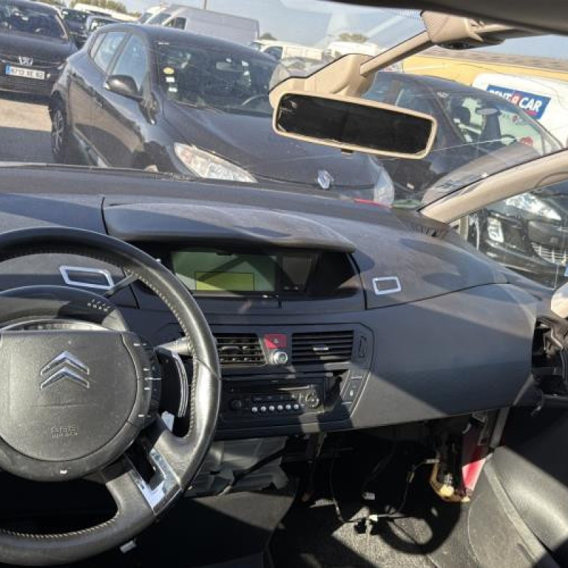 Custode arriere gauche CITROEN C4 PICASSO 1 Photo n°13