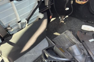 Custode arriere gauche CITROEN C4 PICASSO 1