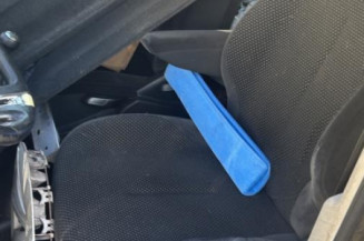 Custode arriere gauche CITROEN C4 PICASSO 1