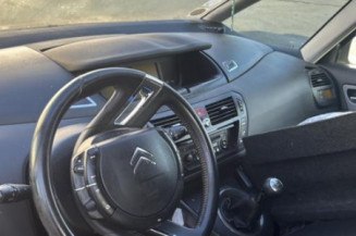 Custode arriere gauche CITROEN C4 PICASSO 1