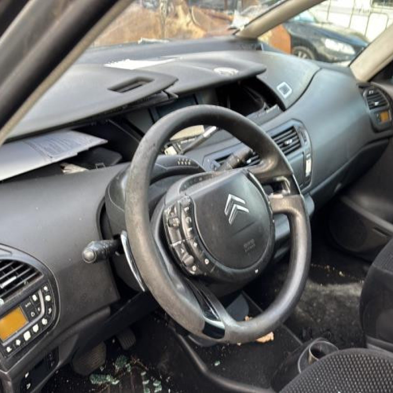 Custode arriere droit CITROEN C4 PICASSO 1 Photo n°12