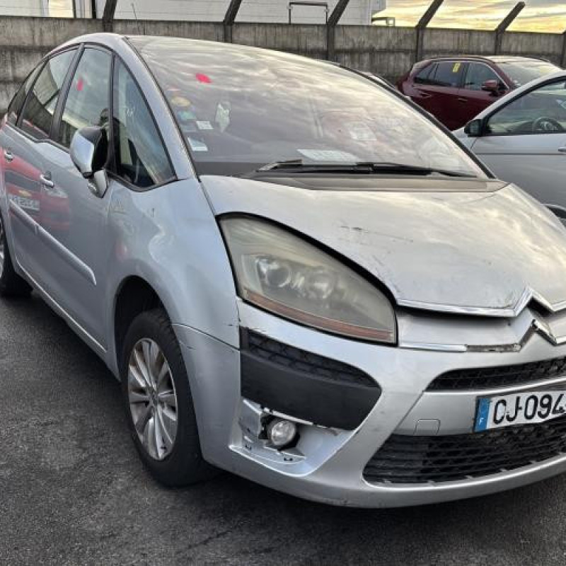 Custode arriere gauche CITROEN C4 PICASSO 1 Photo n°2
