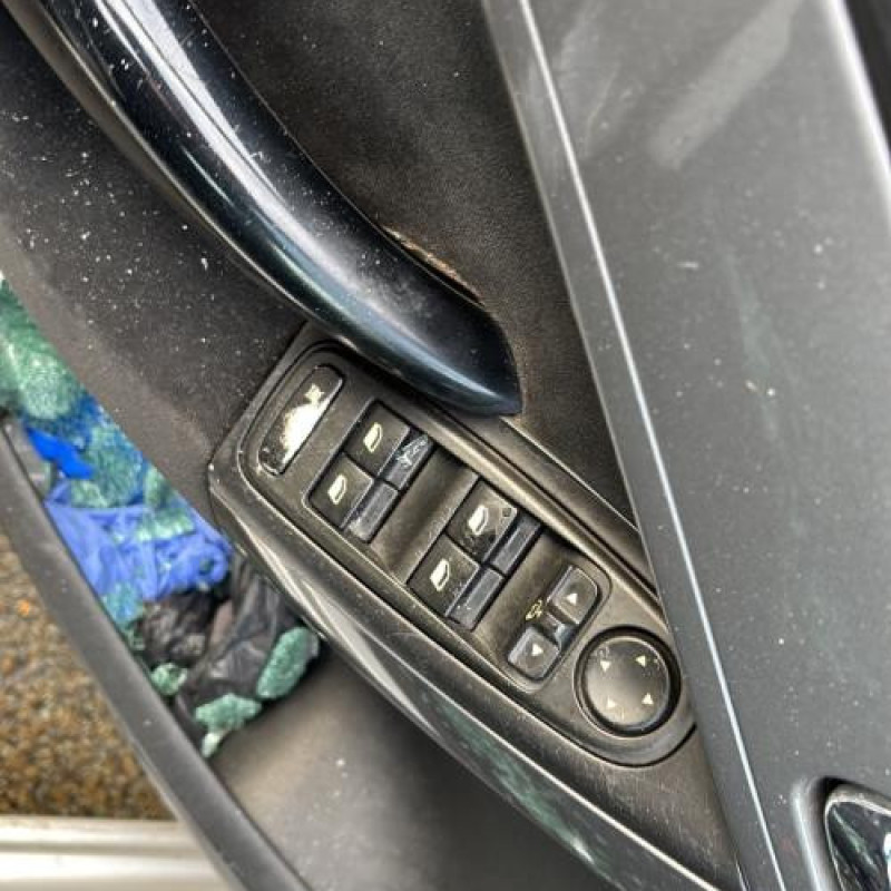 Custode arriere gauche CITROEN C4 PICASSO 1 Photo n°10