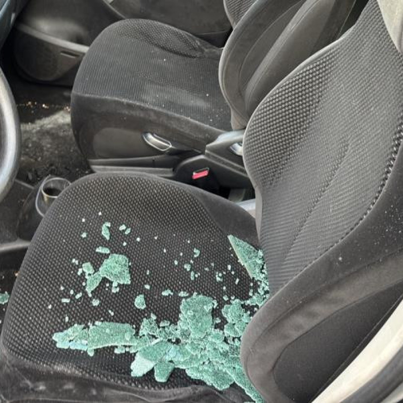 Custode arriere gauche CITROEN C4 PICASSO 1 Photo n°11