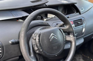 Custode arriere gauche CITROEN C4 PICASSO 1