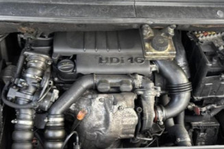 Custode arriere gauche CITROEN C4 PICASSO 1