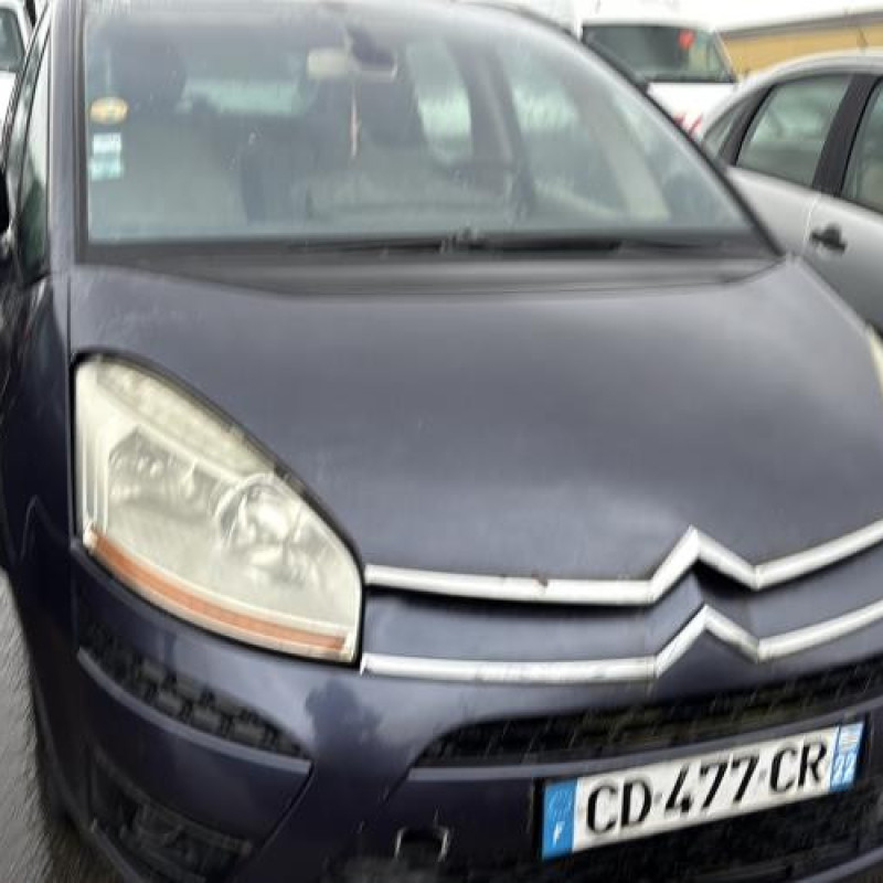 Custode arriere droit CITROEN C4 PICASSO 1 Photo n°8