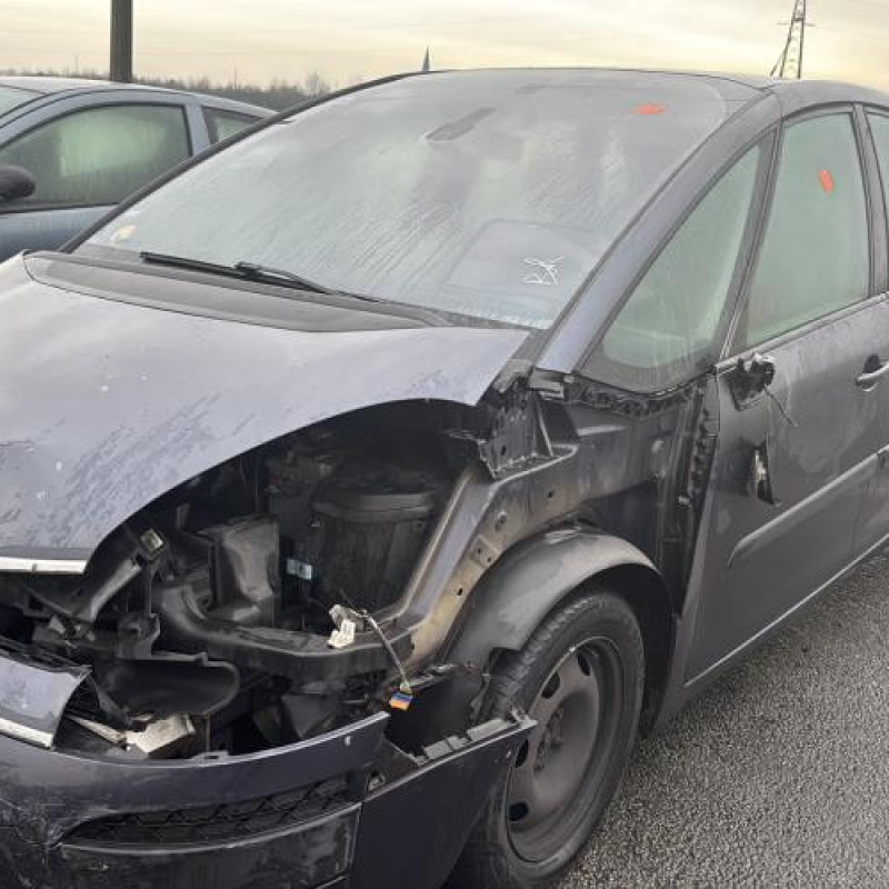 Custode arriere droit CITROEN C4 PICASSO 1 Photo n°1