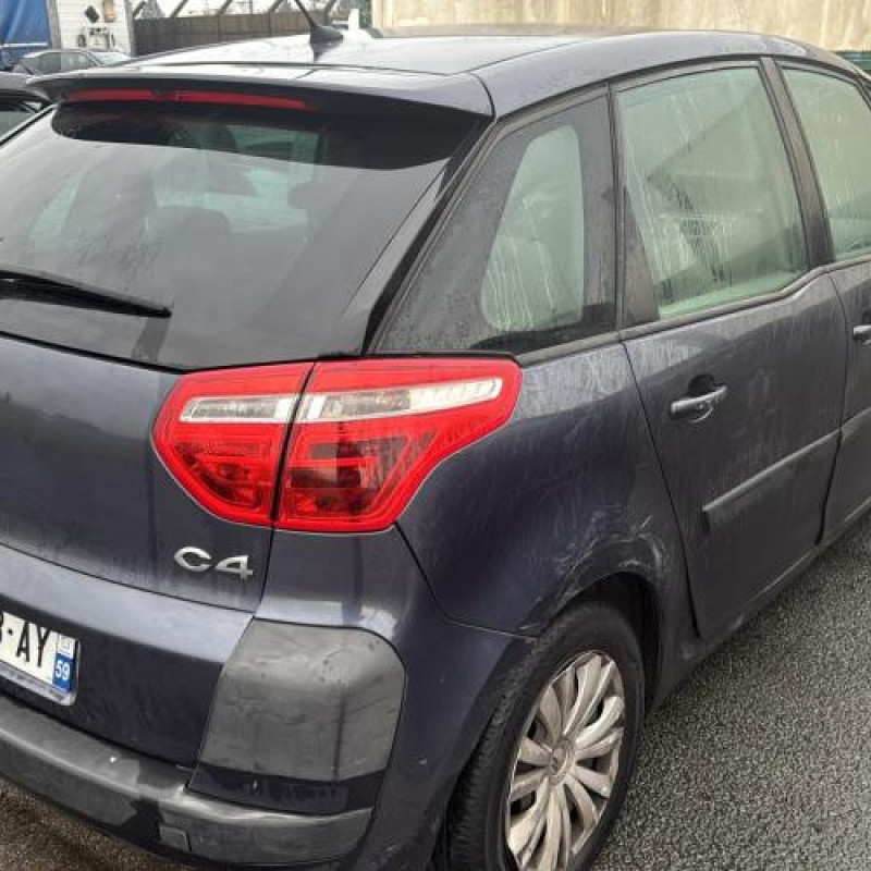 Custode arriere droit CITROEN C4 PICASSO 1 Photo n°5