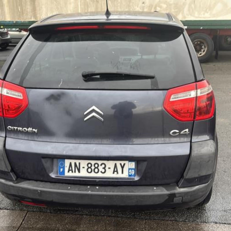 Custode arriere droit CITROEN C4 PICASSO 1 Photo n°6