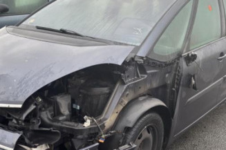 Custode arriere gauche CITROEN C4 PICASSO 1 Photo n°1