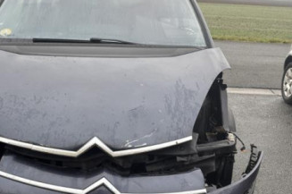 Custode arriere gauche CITROEN C4 PICASSO 1