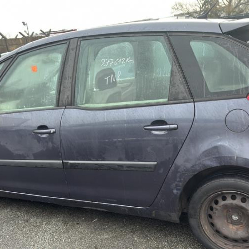 Custode arriere gauche CITROEN C4 PICASSO 1 Photo n°8