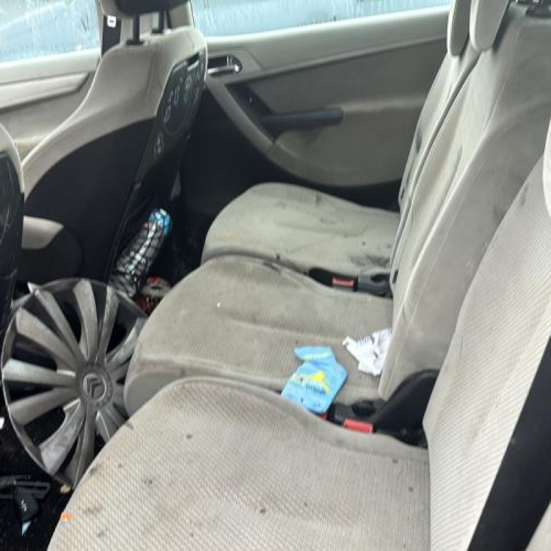 Custode arriere gauche CITROEN C4 PICASSO 1 Photo n°15