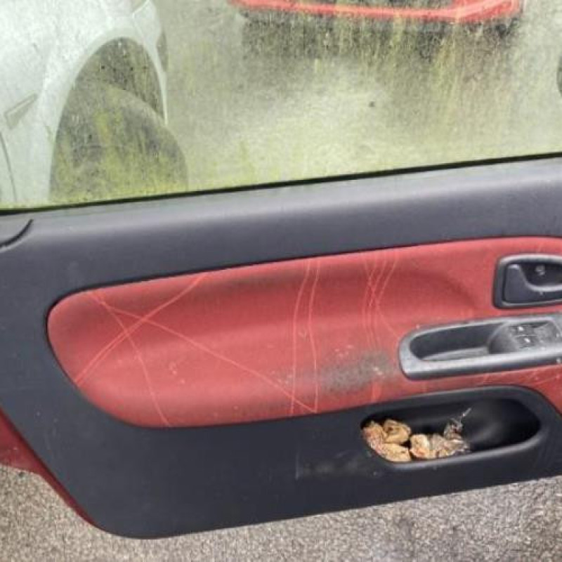 Custode arriere gauche RENAULT CLIO 2 Photo n°3