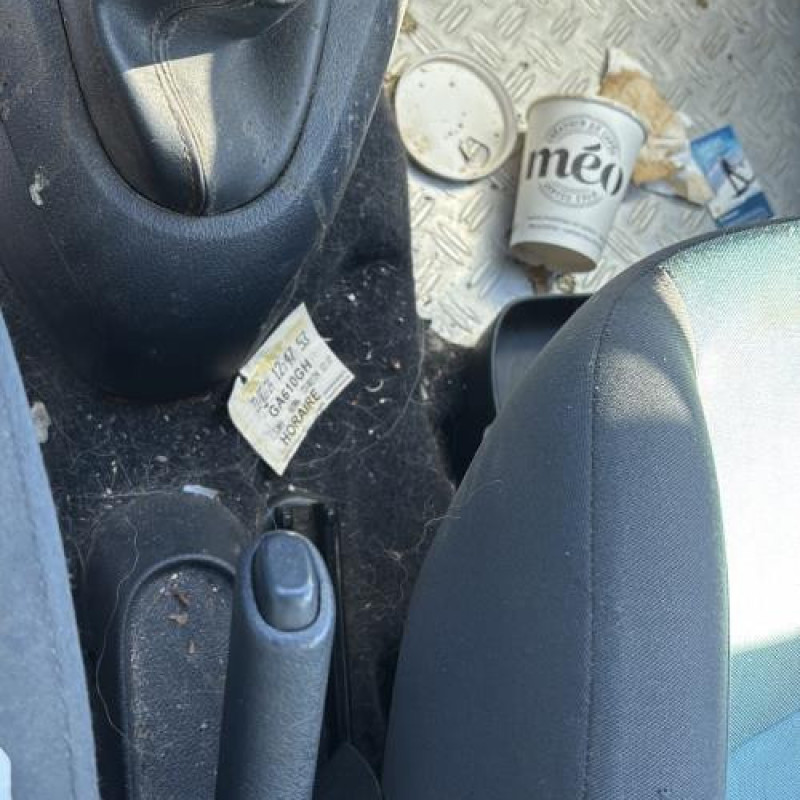 Custode arriere droit RENAULT CLIO 2 Photo n°11