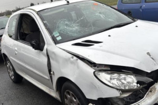 Levier de vitesses PEUGEOT 206