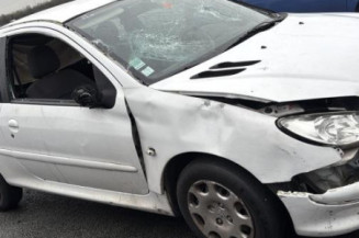 Levier de vitesses PEUGEOT 206