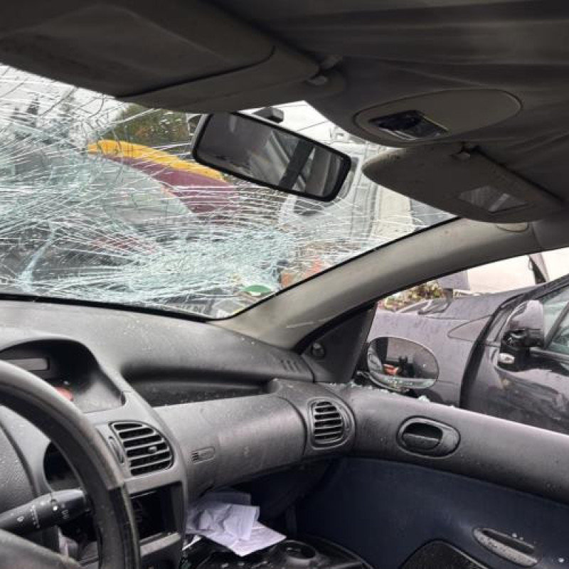 Levier de vitesses PEUGEOT 206 Photo n°12