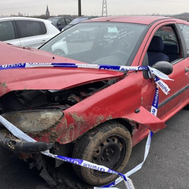 Levier de vitesses PEUGEOT 206 Photo n°1