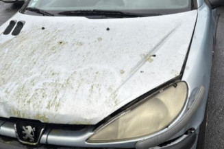 Face avant PEUGEOT 206