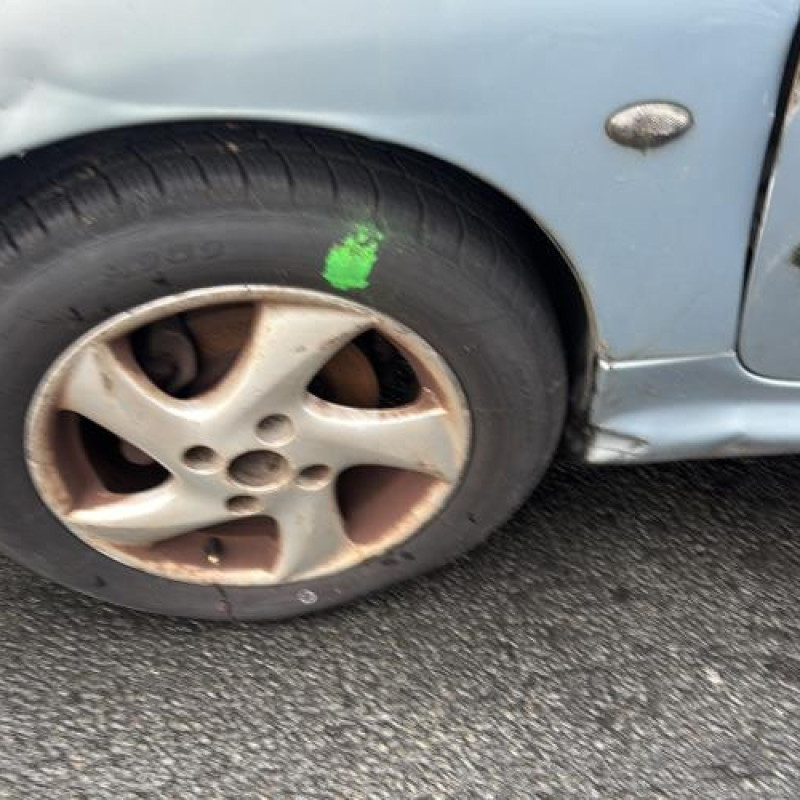 Face avant PEUGEOT 206 Photo n°20