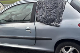 Levier de vitesses PEUGEOT 206