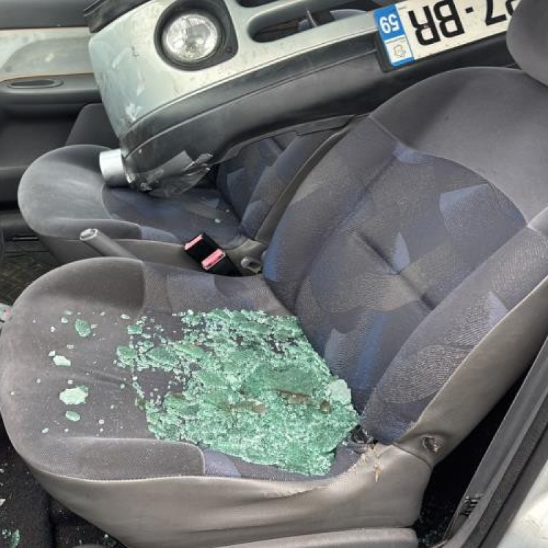 Custode arriere droit RENAULT CLIO 2 Photo n°12