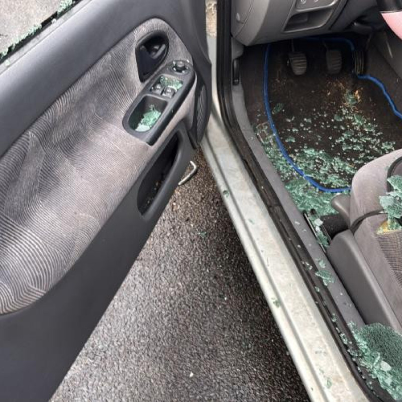 Custode arriere gauche RENAULT CLIO 2 Photo n°9