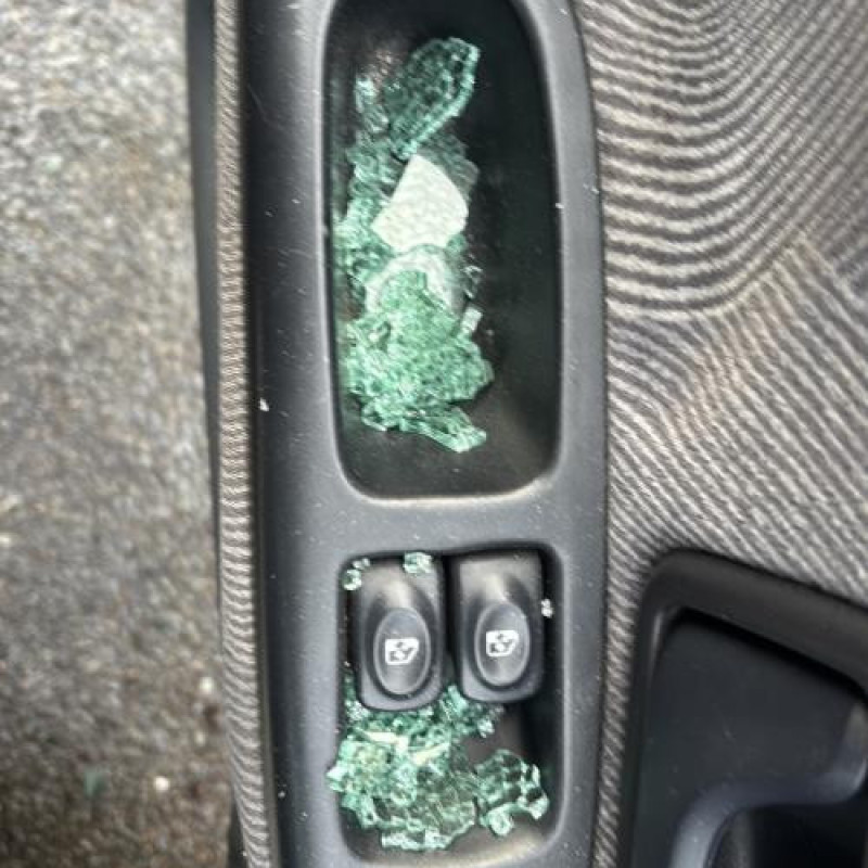 Custode arriere gauche RENAULT CLIO 2 Photo n°11